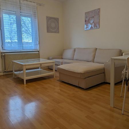 Le Balois - Appartement 2 Chambres, Salon, Cuisine Equipee, Parking Et Wifi Gratuit Mulhouse Exterior foto