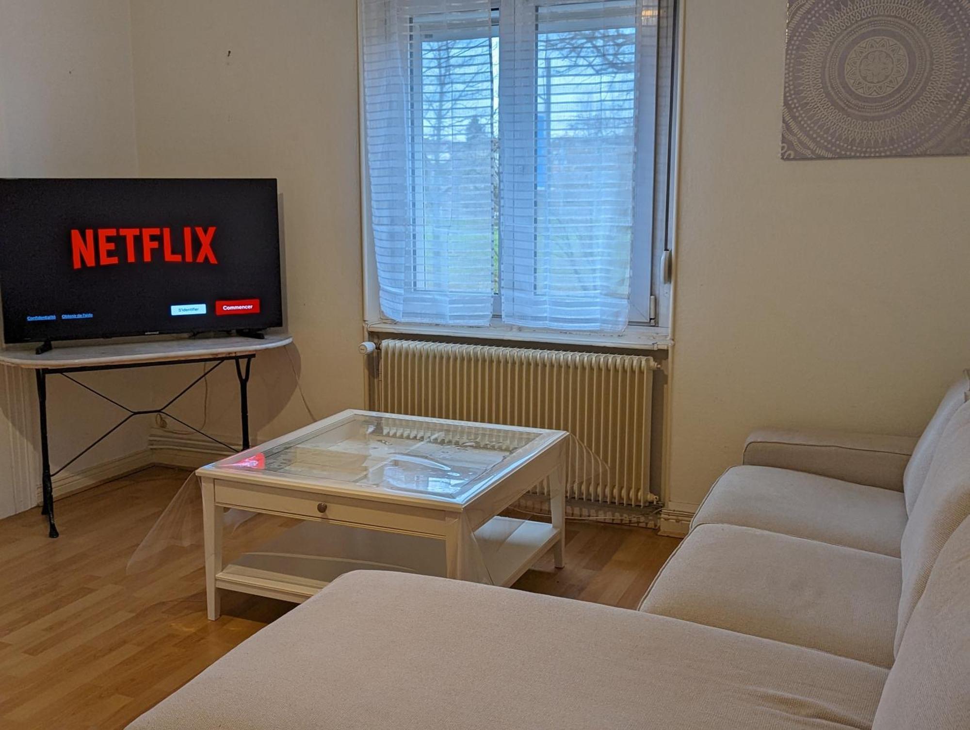 Le Balois - Appartement 2 Chambres, Salon, Cuisine Equipee, Parking Et Wifi Gratuit Mulhouse Exterior foto