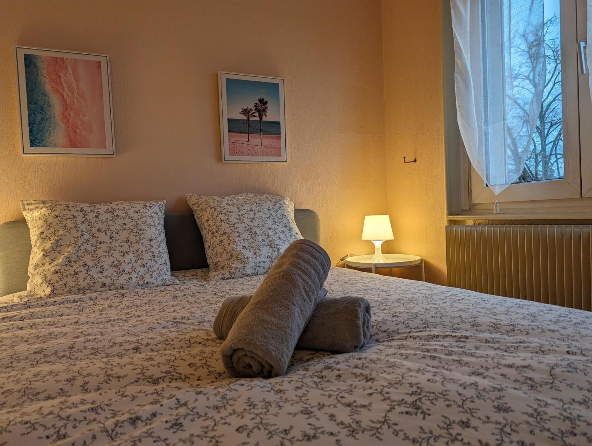 Le Balois - Appartement 2 Chambres, Salon, Cuisine Equipee, Parking Et Wifi Gratuit Mulhouse Exterior foto